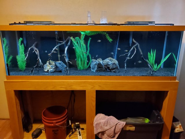 20210703_093940.jpg