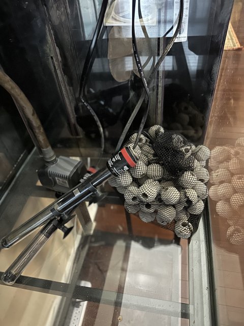 Heater_BioBall_Pump.jpeg Heater_BioBall_Pump.jpeg