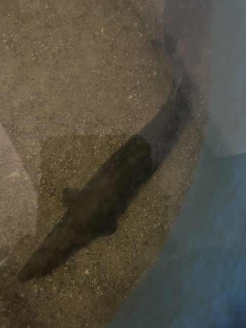 IMG_5473.jpeg