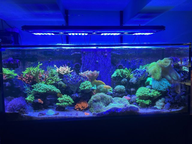 IMG_6574.jpeg IMG_6574.jpeg