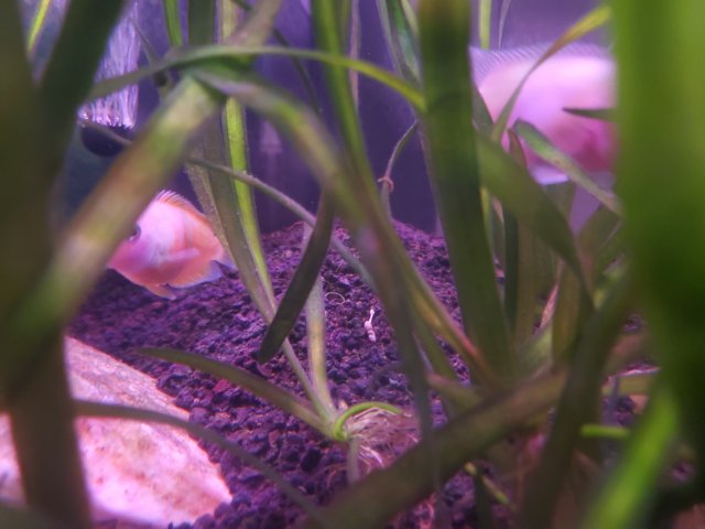 20230925_192644.jpg