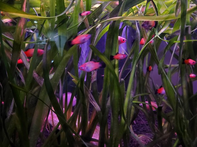 20230925_192455.jpg