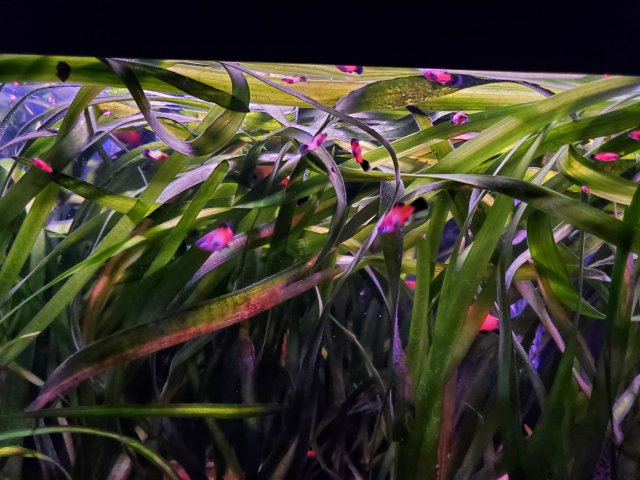 20230925_192539.jpg