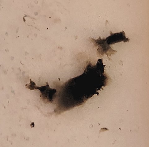 view 2.jpg view 2.jpg