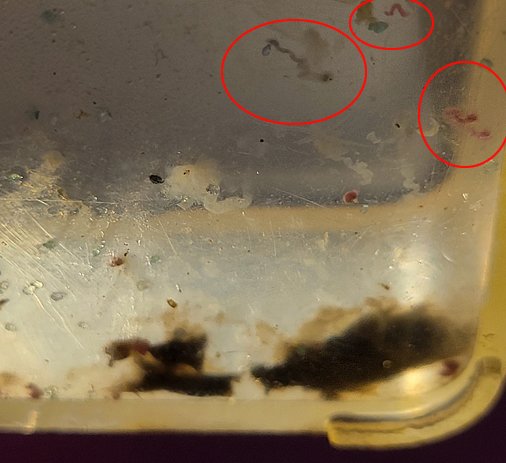 view 3.jpg view 3.jpg