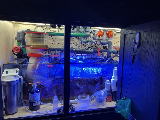 IMG_6683.jpeg IMG_6683.jpeg