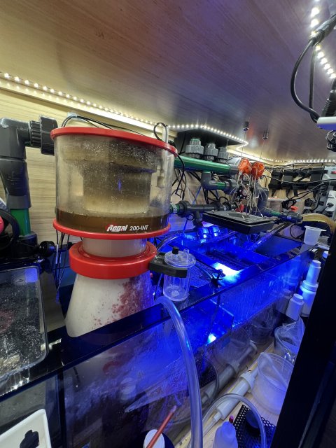 IMG_6685.jpeg IMG_6685.jpeg