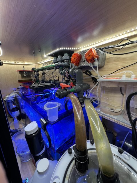 IMG_6686.jpeg IMG_6686.jpeg