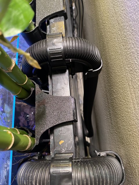 IMG_0686.jpg IMG_0686.jpg