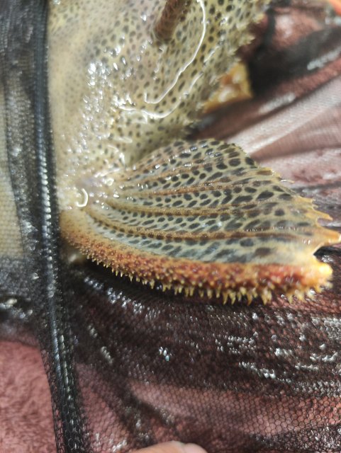 IMG_20230928_203035.jpg
