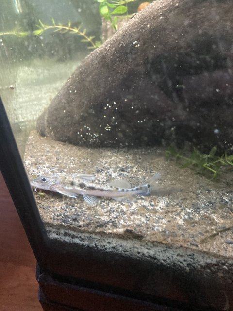 IMG_1733.jpeg IMG_1733.jpeg