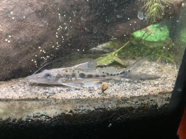 IMG_2999.jpeg IMG_2999.jpeg