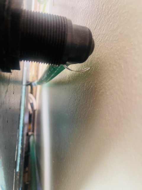 IMG_5083.jpeg
