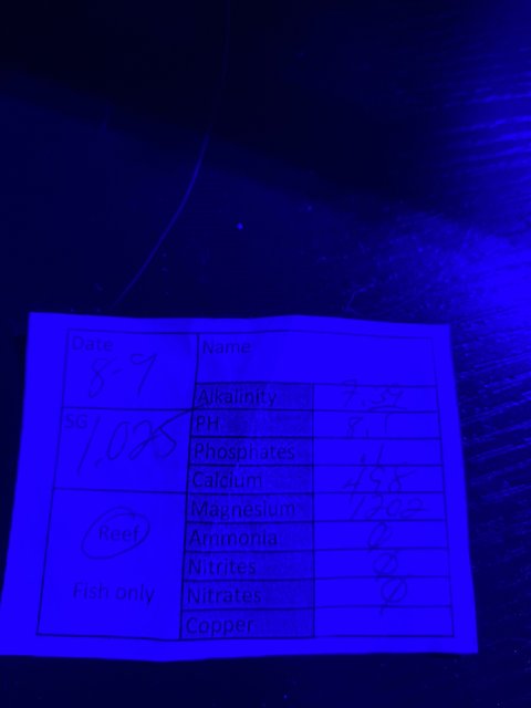 IMG_2243.jpeg
