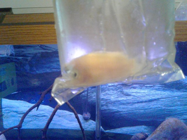 20180901_095500.jpg 20180901_095500.jpg