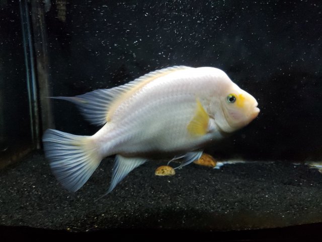 20200511_211202.jpg 20200511_211202.jpg