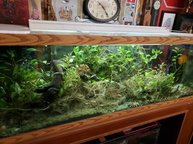 20231013_193422.jpg 20231013_193422.jpg