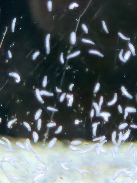 1000002238.jpg 1000002238.jpg