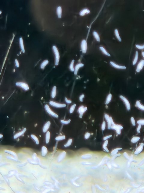 1000002237.jpg 1000002237.jpg