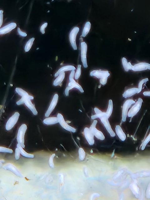 1000002239.jpg 1000002239.jpg