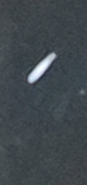 1000002241.jpg 1000002241.jpg