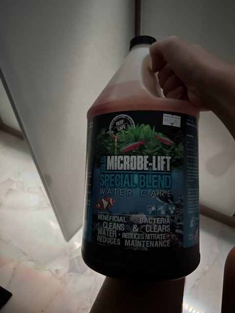 IMG_5817.jpeg IMG_5817.jpeg