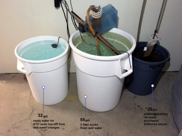 55gal  and 32gal photo2.JPG
