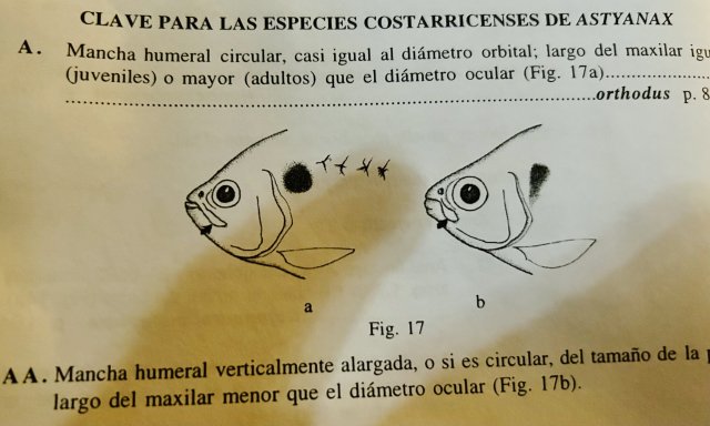 IMG_7438.jpeg IMG_7438.jpeg