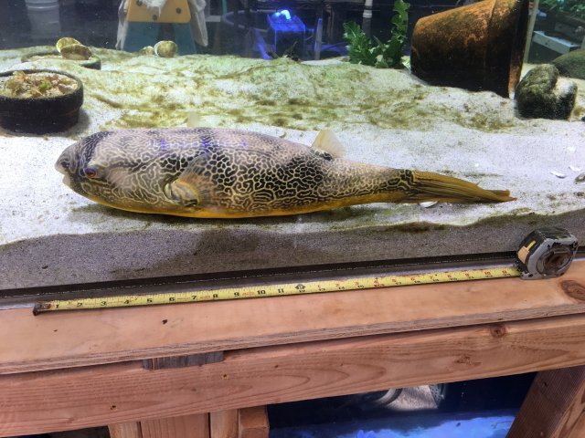 CB7205CD-5BB0-43A7-9E43-16CF90063B01.jpeg CB7205CD-5BB0-43A7-9E43-16CF90063B01.jpeg