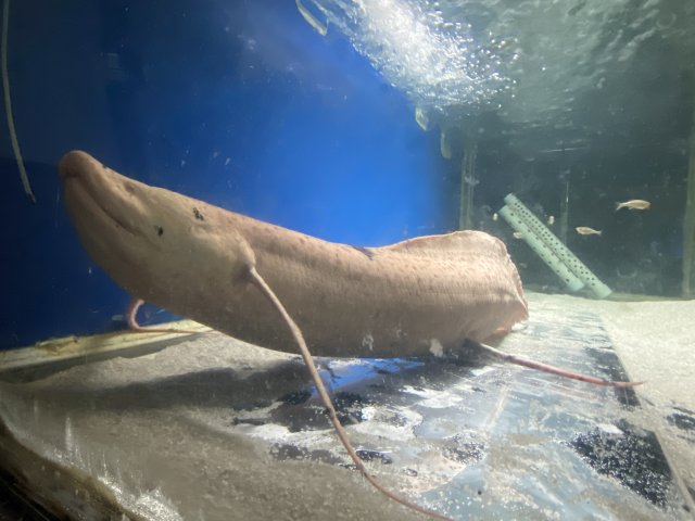 D7C08EAE-DFEB-45C3-9F22-EDDDDCAE86CC.jpeg