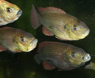 1698007711380.png 1698007711380.png