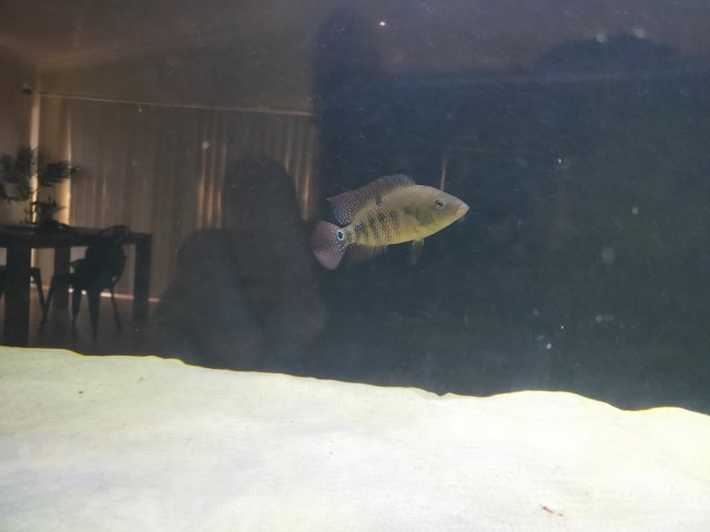 IMG20231023162446.jpg