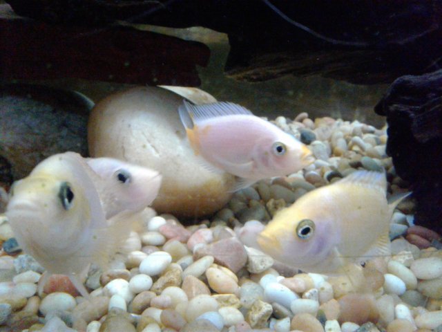 20181006_202808.jpg 20181006_202808.jpg