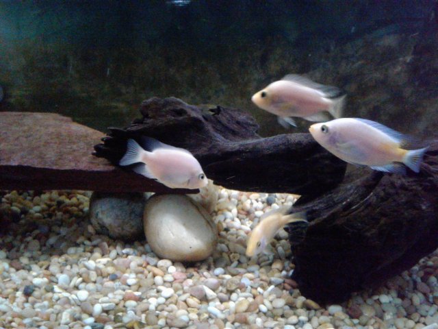 20181006_194823.jpg 20181006_194823.jpg