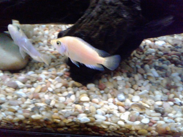 20181006_194817.jpg 20181006_194817.jpg