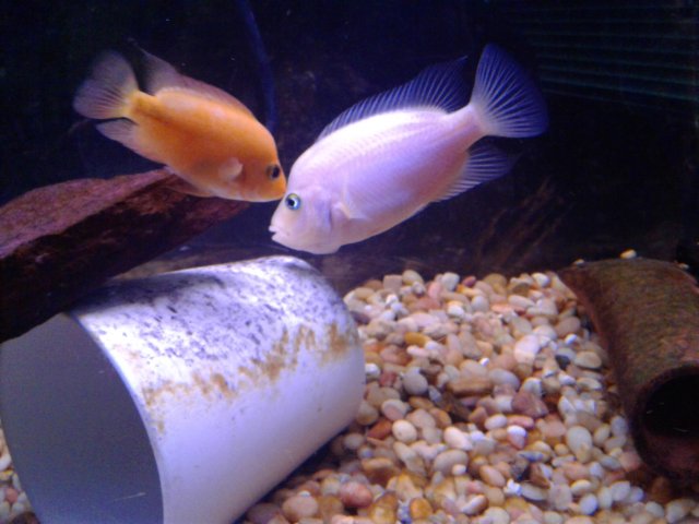 20190111_152127.jpg 20190111_152127.jpg