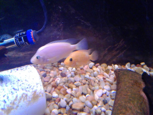 20190111_152156.jpg 20190111_152156.jpg