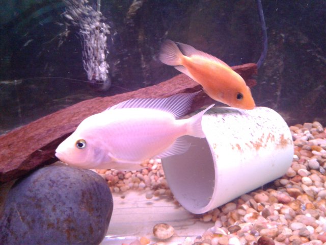 20190111_153324.jpg 20190111_153324.jpg