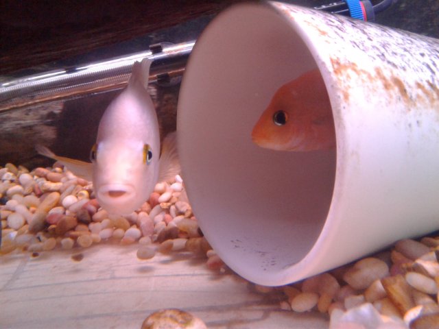 20190111_153359.jpg 20190111_153359.jpg