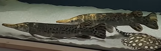 1698672252731.png