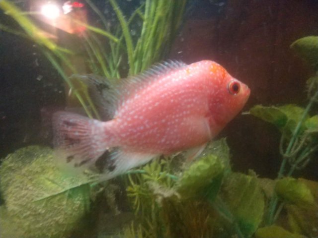 cameringo_20211107_230157.jpg cameringo_20211107_230157.jpg