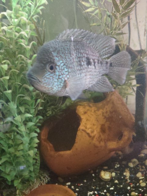 IMG_20230110_110553.jpg IMG_20230110_110553.jpg