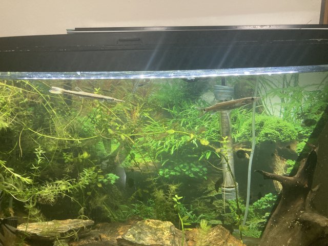 71579888143__B886ADE5-FF25-440F-AD0E-DB169C9656BE.jpeg 71579888143__B886ADE5-FF25-440F-AD0E-DB169C9656BE.jpeg