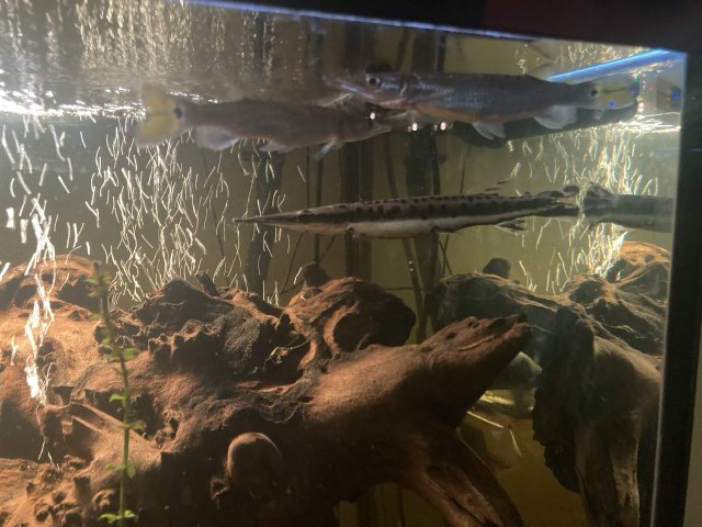 IMG_3679.jpeg IMG_3679.jpeg