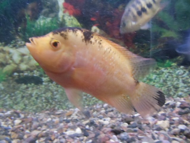 DSC02553.JPG
