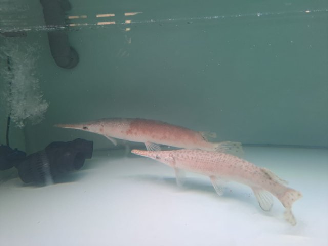 IMG-20231103-WA0002.jpg