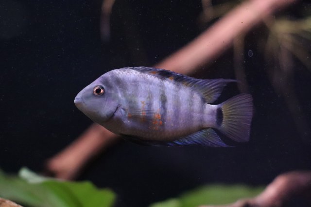 IMG_2754.jpeg IMG_2754.jpeg