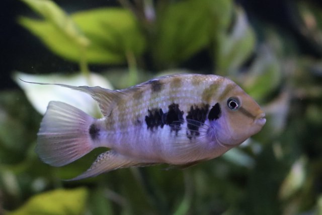 IMG_2473.jpeg IMG_2473.jpeg