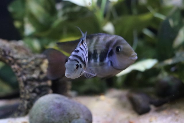 IMG_2919.jpeg IMG_2919.jpeg