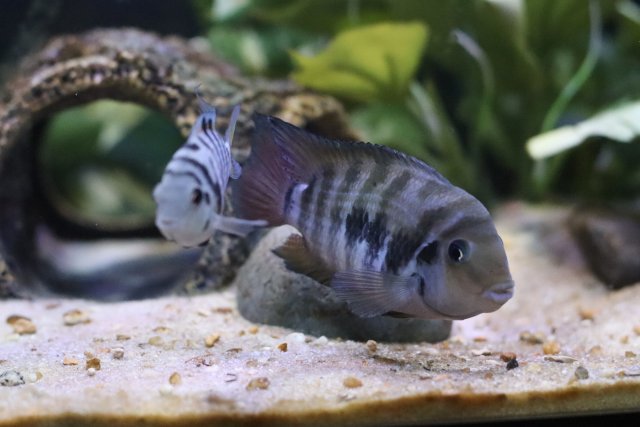 IMG_2917.jpeg IMG_2917.jpeg